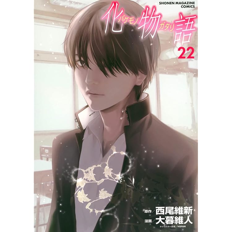 西尾維新 化物語 27巻セット 西尾維新 化物語 27巻セット 化物語 物語シリーズ 全27冊 全巻